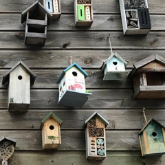 Dreams fall (feat. Mi.eu)