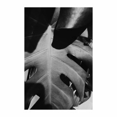 Lake Annecy (Silas Fry rework)