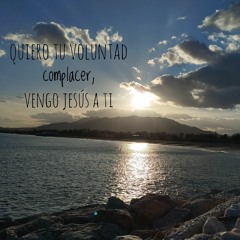 De mi tristeza y oscuridad, vengo Jesús a Ti