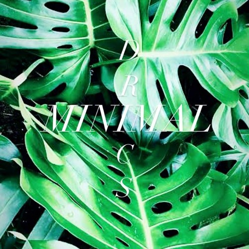 MINIMAL TECH PREVIEW 2021 DRICS