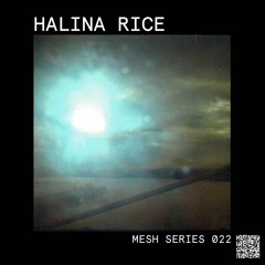 Mesh Mix Series 022: Halina Rice