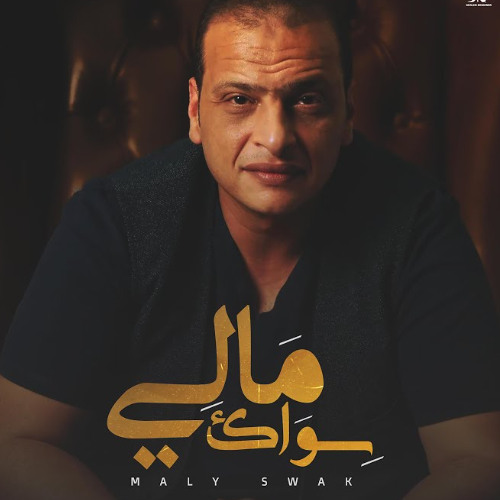 مالي سواك Wael el fashni - وائل الفشني