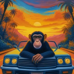 Valul Doi (2) - Romanian Monkey MIX