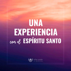 17-05-2025 - Una Experiencia con el Espíritu Santo - Ronald Steinvorth