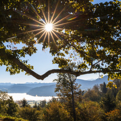 not a bad thing (Justin Timberlake) - Piano Cover