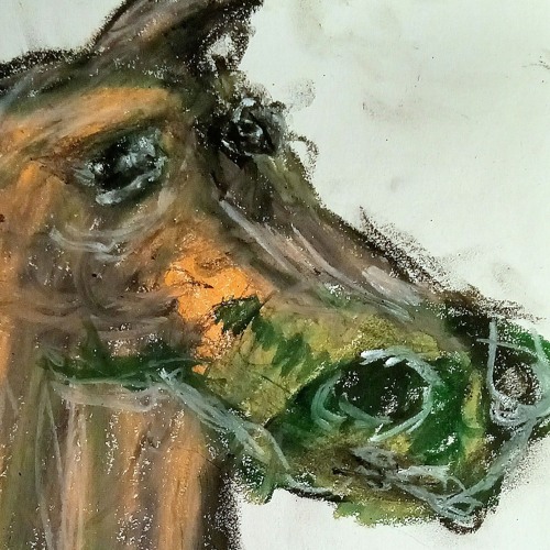 Frogfolds and remixes using other artists' work