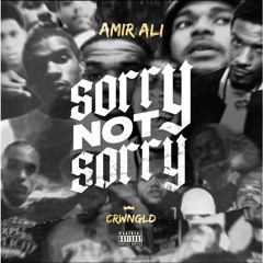 Sorry Not Sorry [Official Release]