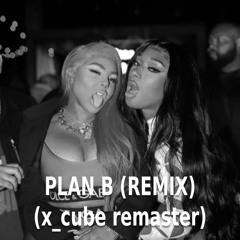 Megan Thee Stallion, Lil' Kim - Plan B [Remix] (Edit)