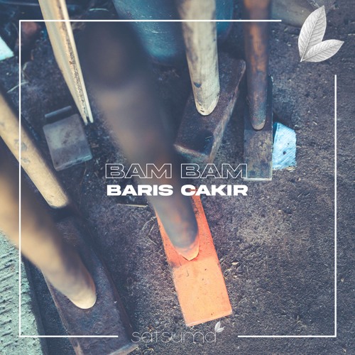 Barış Çakır - Bam Bam (Original Mix)