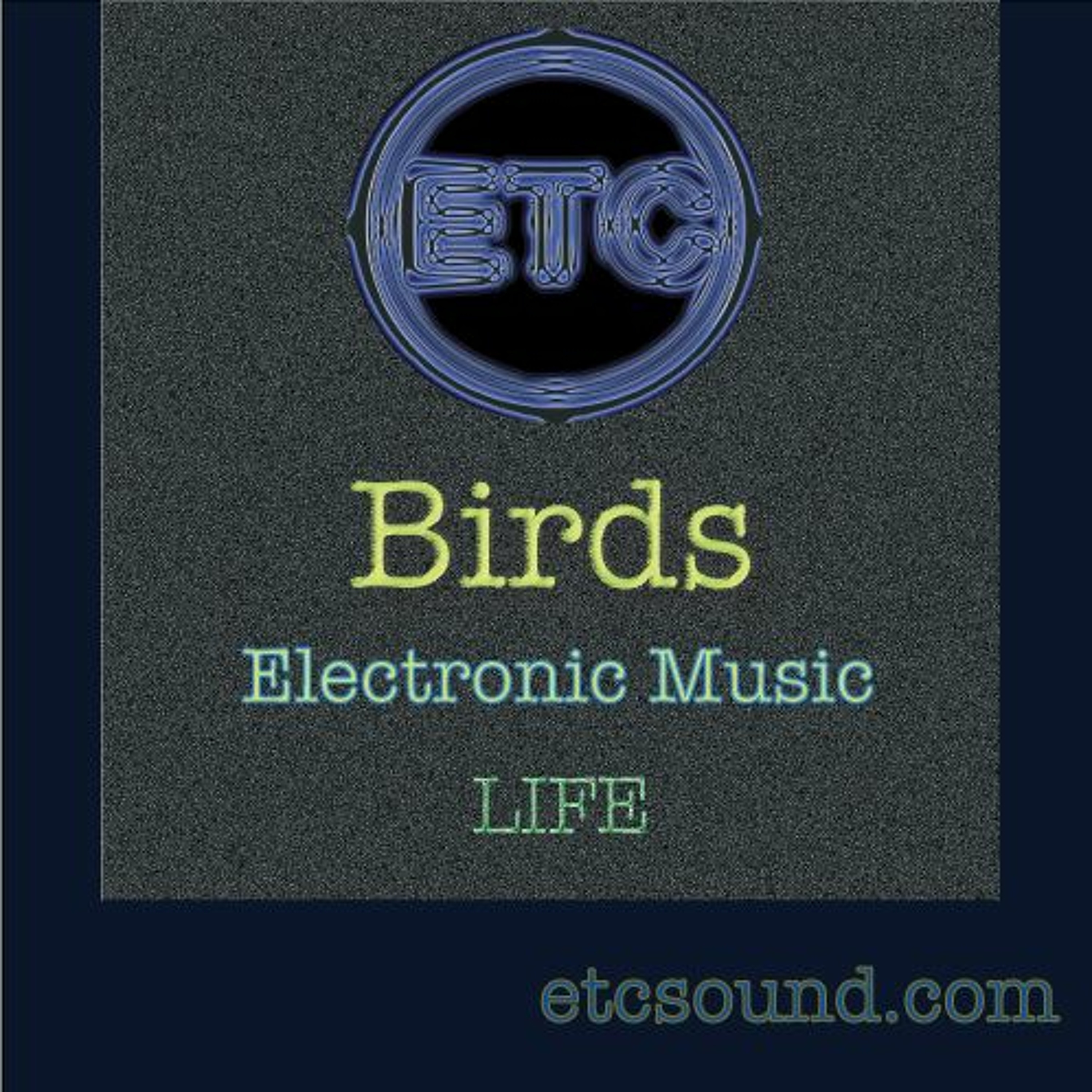 Life :: Session :: Birds episode artwork
