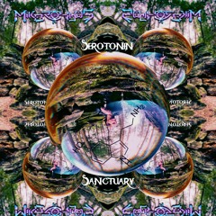 Serotonin Sanctuary (Arcadian Sound Remix)