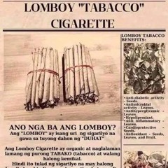 LOMBOYTIN novvan x babart.m4a