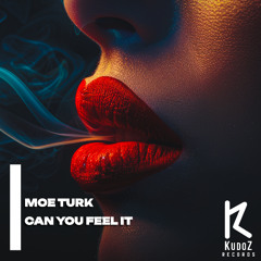 Moe Turk - Can You Feel It