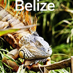 [GET] EPUB 🎯 Lonely Planet Belize (Travel Guide) by  Paul Harding EBOOK EPUB KINDLE