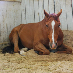 Some sunny day demo - Zakarias Sanderson