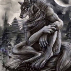 Lone sigma wolf