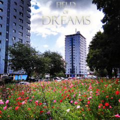 Field of Dreams
