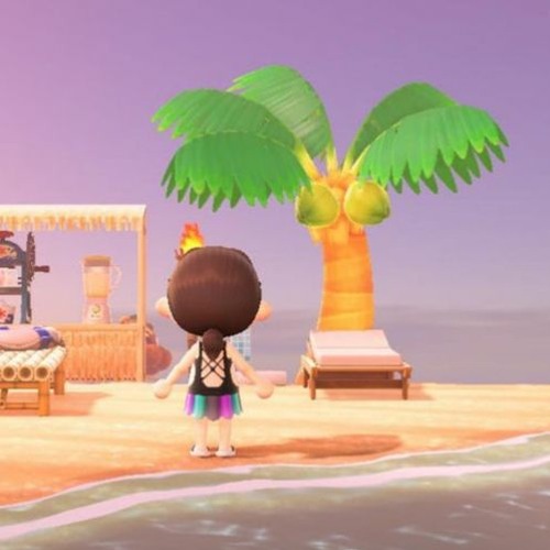 kakiguava island heatwave