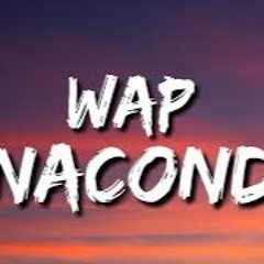 WAP X Anaconda