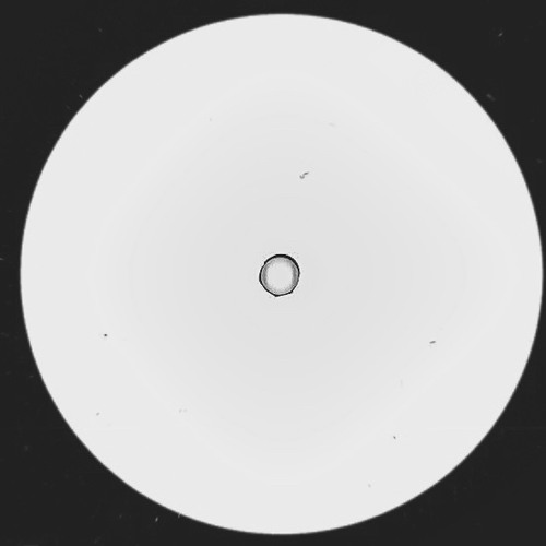 Sally C - Lets Get This (Hardgroove dub)