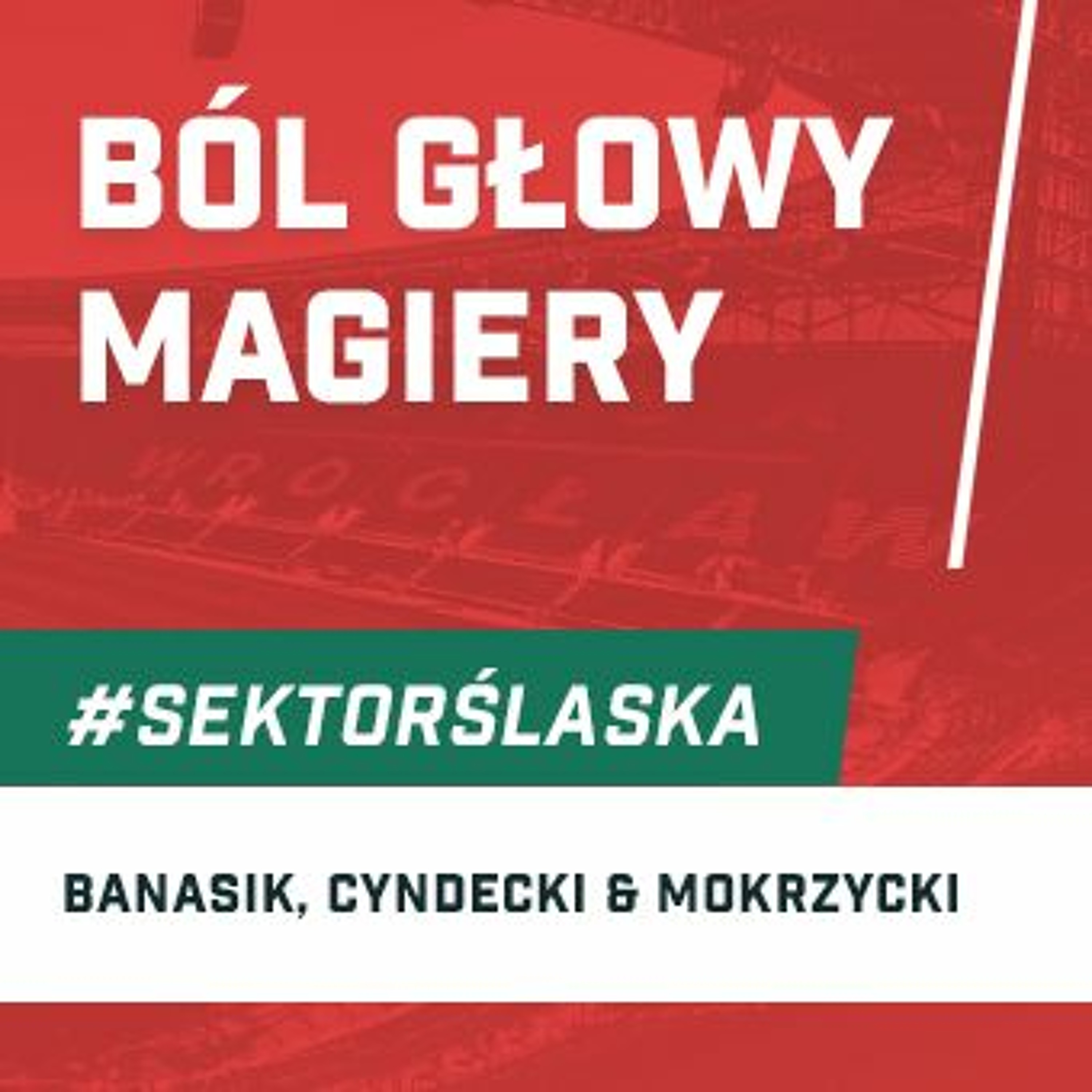 Śląsknet