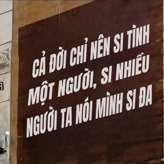 ĐẮNG CAY TUỔI ĐÔI MƯƠI v2