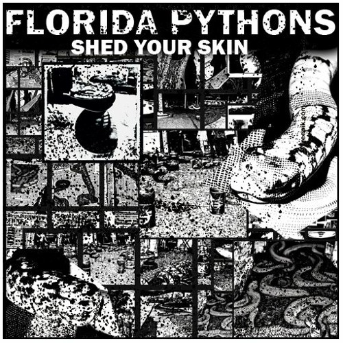 Florida Pythons - Shed Your Skin EP