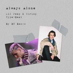 *FREE* l  Lil Peep x Shrimp - Type Beat 2023 l "Always Alone"