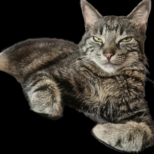 ♋️🕉 🔴 🟢 🔵 🟣 🟡 🕉♋️