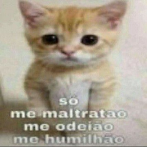 Junior Vianna flores em vida