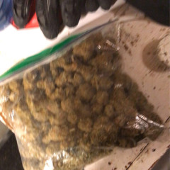 Free BangThizzle - NHG Choppa Boy