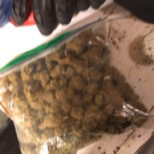 Free BangThizzle - NHG Choppa Boy