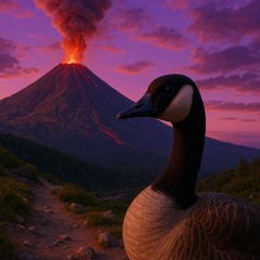 Goose x Alta Vita @ No3