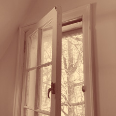 Window Faces South