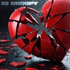 DJ SNOOPY - SO INTO YOU