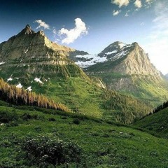 anything ++recycleBin