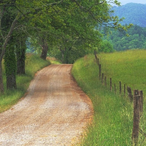 Country Roads  (daughter & dad harmony)