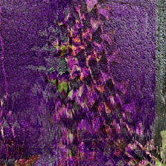 Fetid Edge - Project 24 (unreleased)