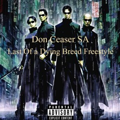 Last Of a Dying Breed Freestyle (Prod.Storm).mp3