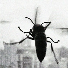 Crave Kisses Mix - Dec 2021