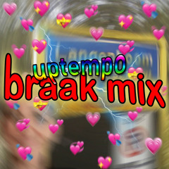 Erika Uit Langenboom - Uptempo Braak Mix