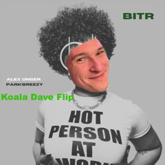 Alex Unger, parkbreezy - BITR (Koala Dave Flip)