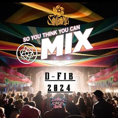 D-Fib - So you think you can MIX! 2024