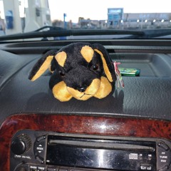 in the mix w/ duncedog