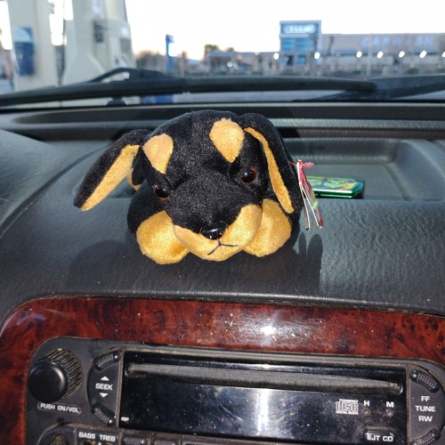 in the mix w/ duncedog