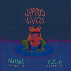 SAPO MORENO Mala bar LOS SAPOS sapitos vivos