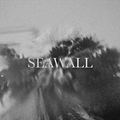 Neev - Seawall (JUNØ Remix)