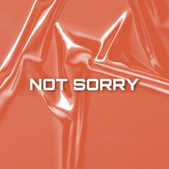 ANVY - NOT SORRY.wav