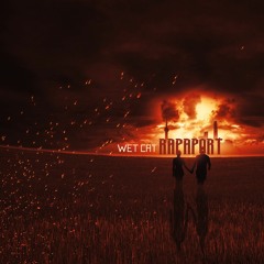 wet cat-rapaport