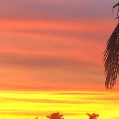 Horacio Alcaraz - Marzo 2020